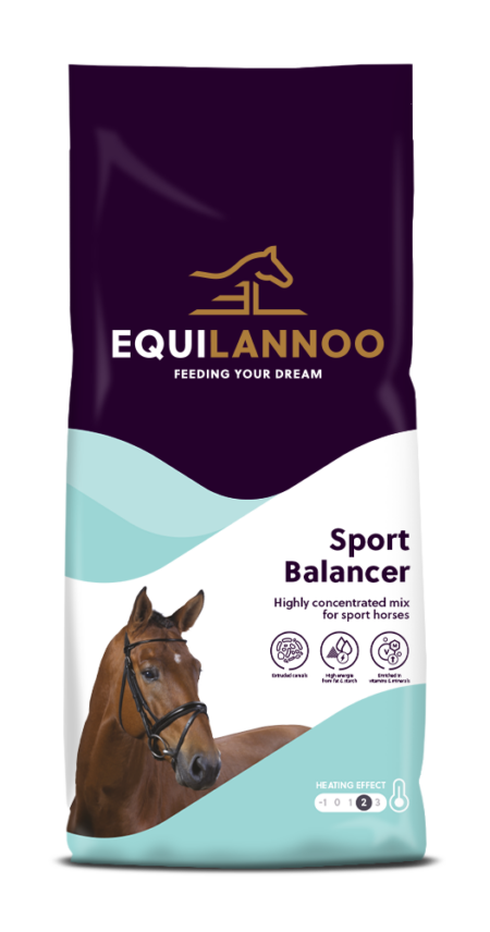 Equilannoo Sport Balancer