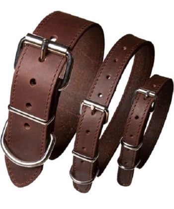 Habitat halsband vetleder bruin