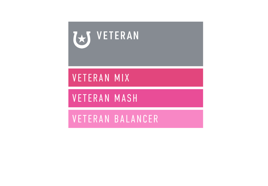 veteran-mix4